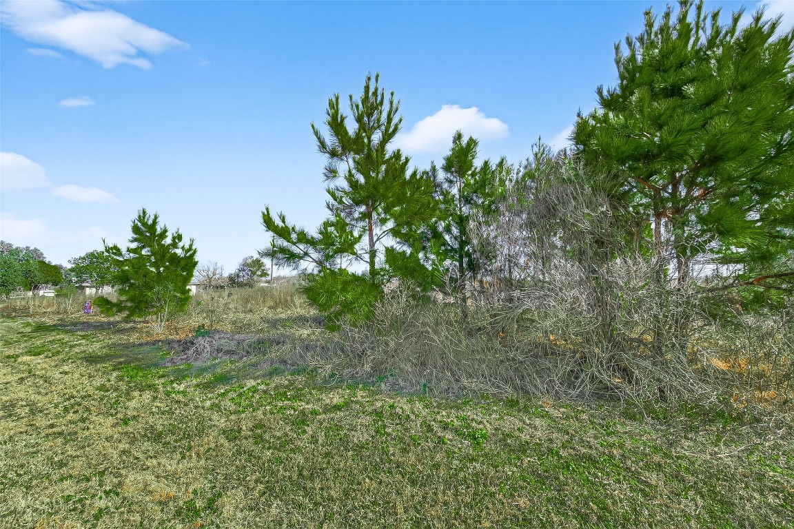 0 Ruby Street Prairie View, TX 77484 - Photo 1 of 25 a view of a yard with a tree