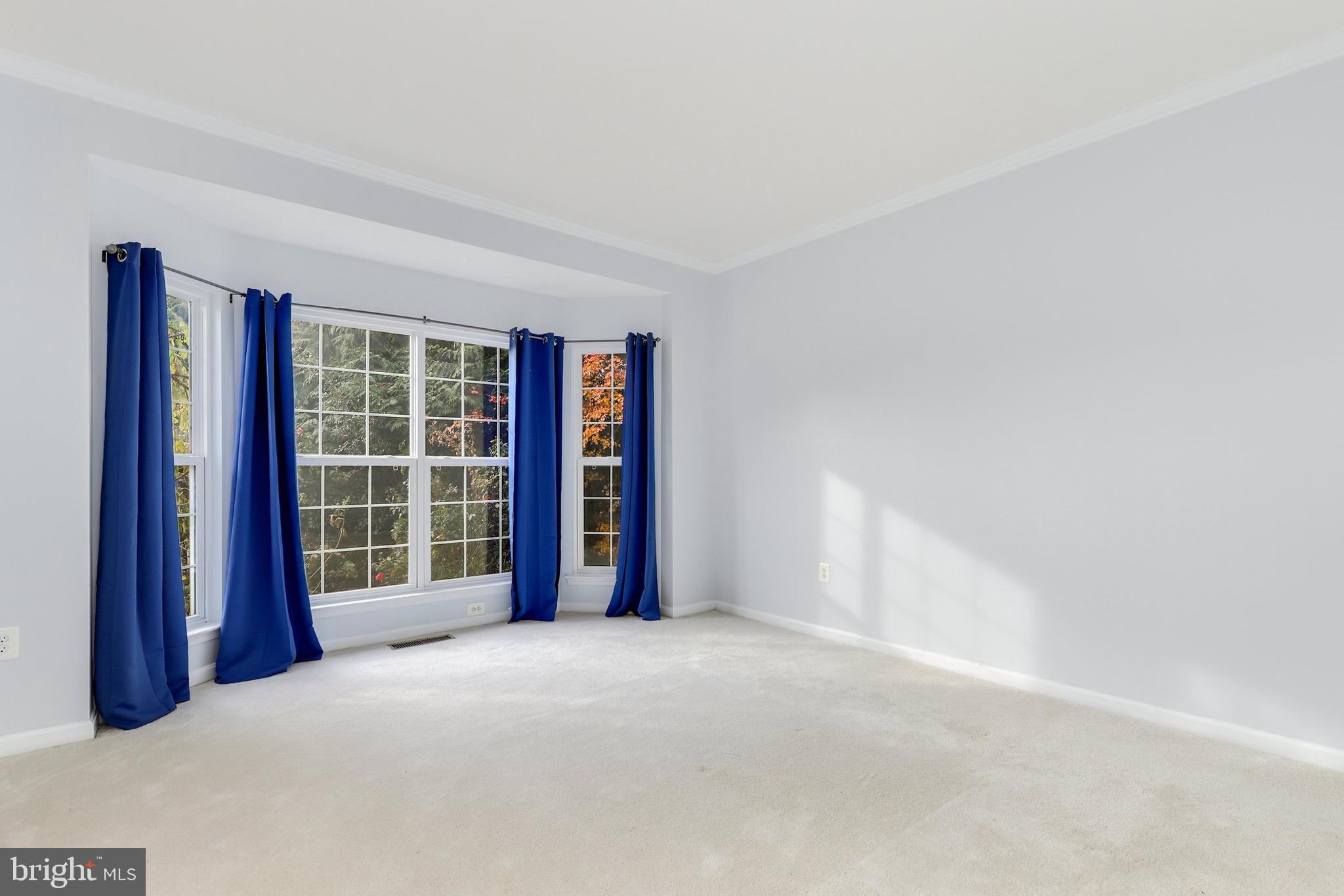 11117 Park Ridge Road Fredericksburg, VA 22408 - Photo 7 of 69 Gallery Image 7