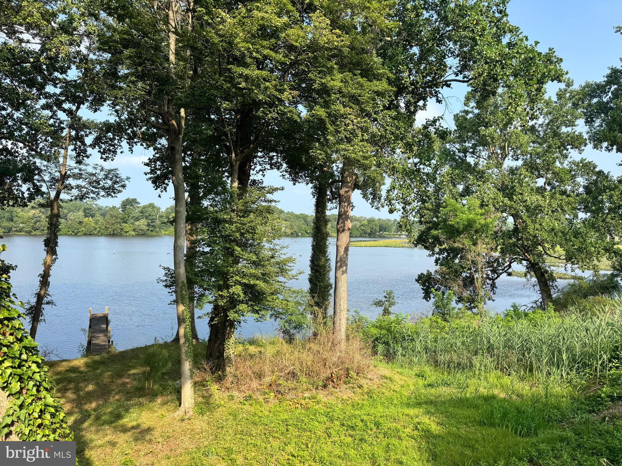 300 South 1st Street Denton, MD 21629 - Photo 33 of 47 Backyard