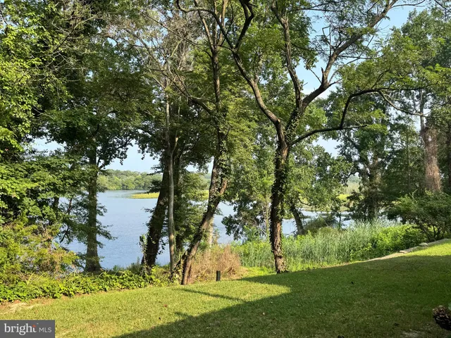 a view of a garden with large trees