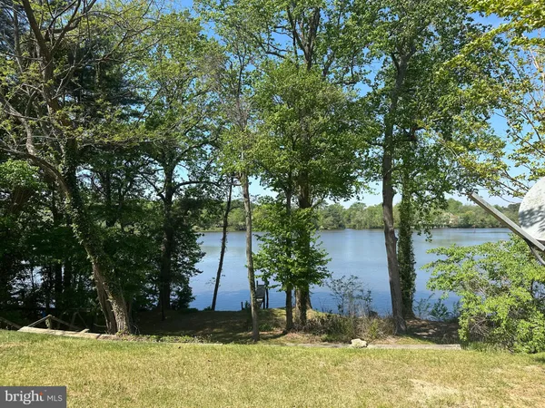 a view of a backyard with large trees