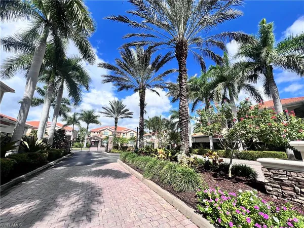 a view of a yard with a palm trees
