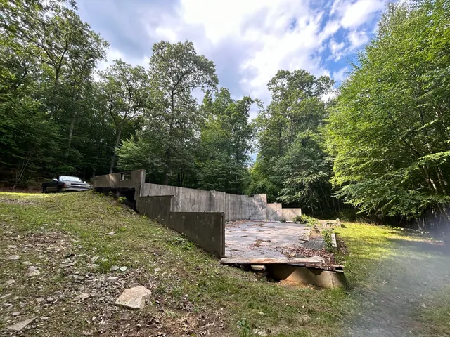 a view of a backyard with trees