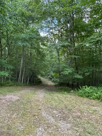 a view of a green field with lots of bushes