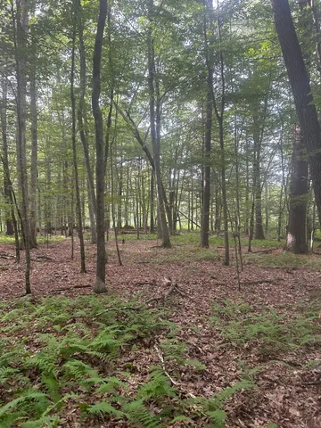 a view of outdoor space and green space