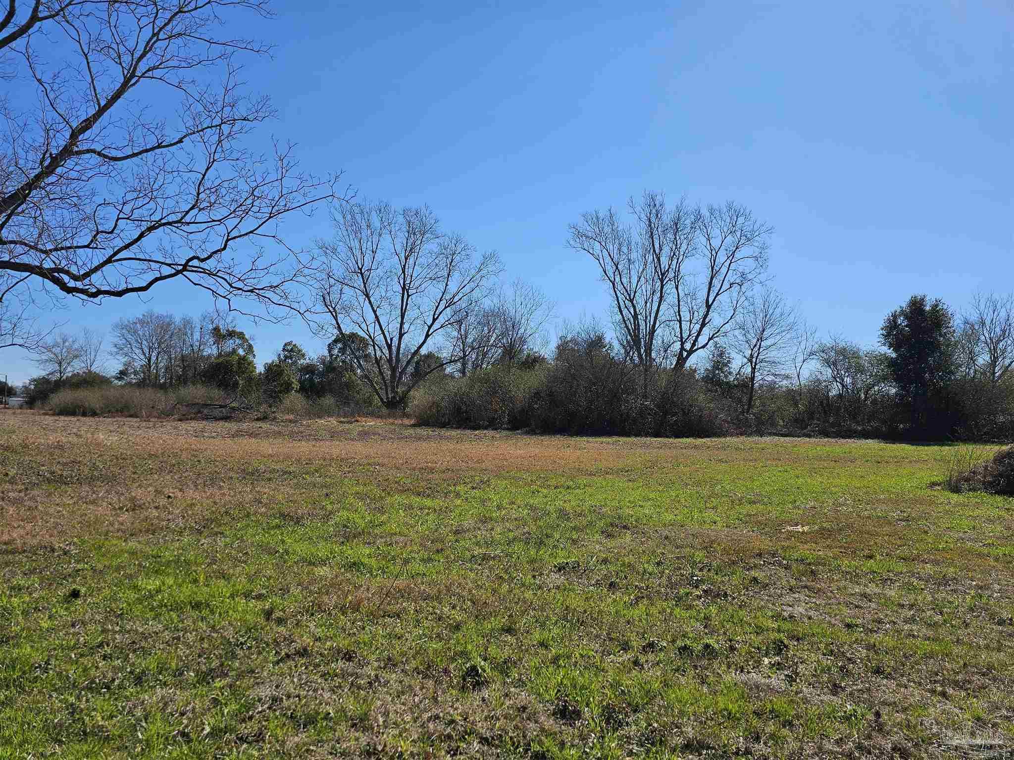 26652 Highway 98 Elberta, AL 36530 - Photo 6 of 20
