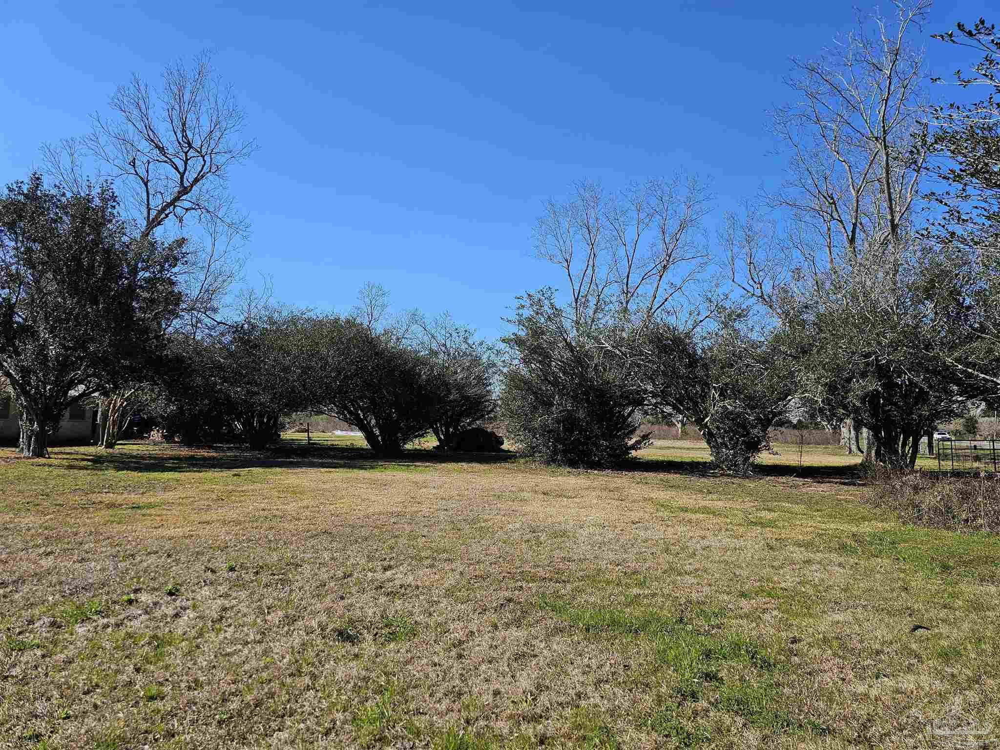 26652 Highway 98 Elberta, AL 36530 - Photo 8 of 20
