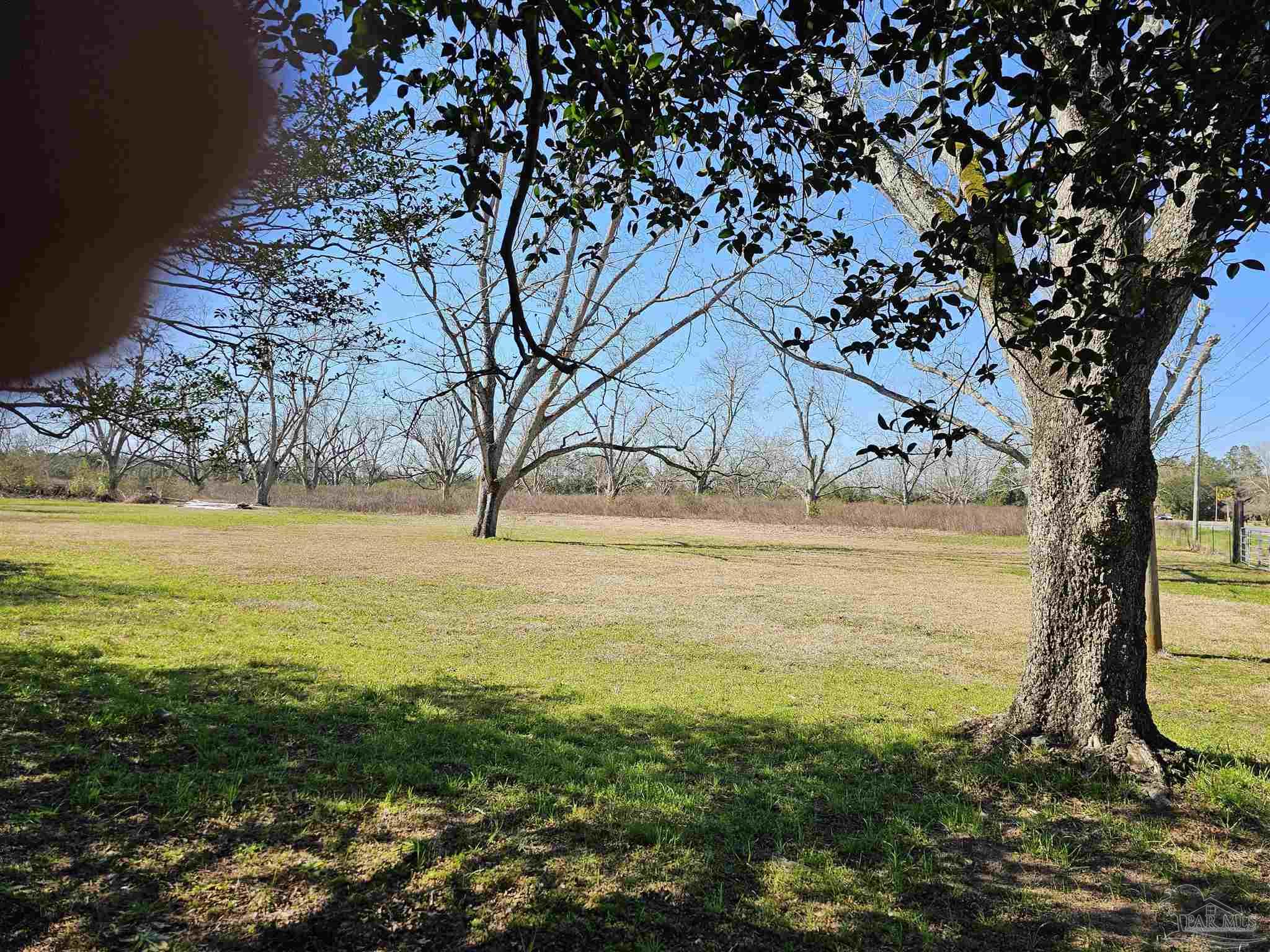 26652 Highway 98 Elberta, AL 36530 - Photo 9 of 20