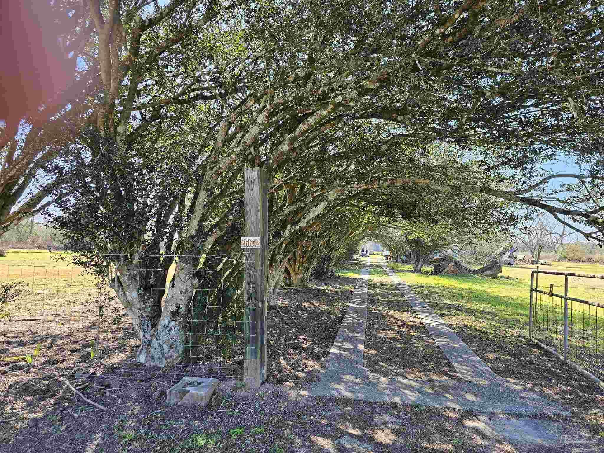 26652 Highway 98 Elberta, AL 36530 - Photo 10 of 20