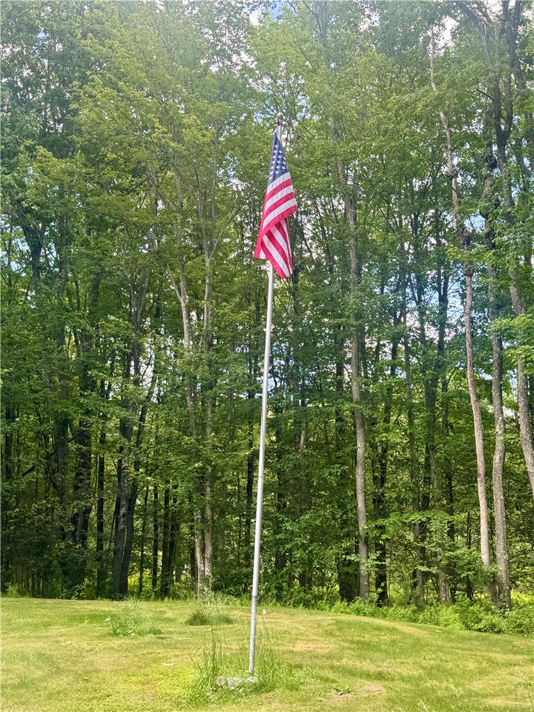 50 Anthony's Road White Haven, PA 18661 - Photo 4 of 57 A verdant treeline backs a spacious, grassy front yard, displaying the grand ole flag!