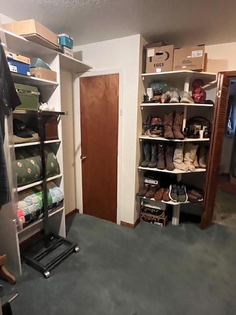915 Highway 84 Mullin, TX 76864 - Photo 18 of 37 a view of room with racks on the wall
