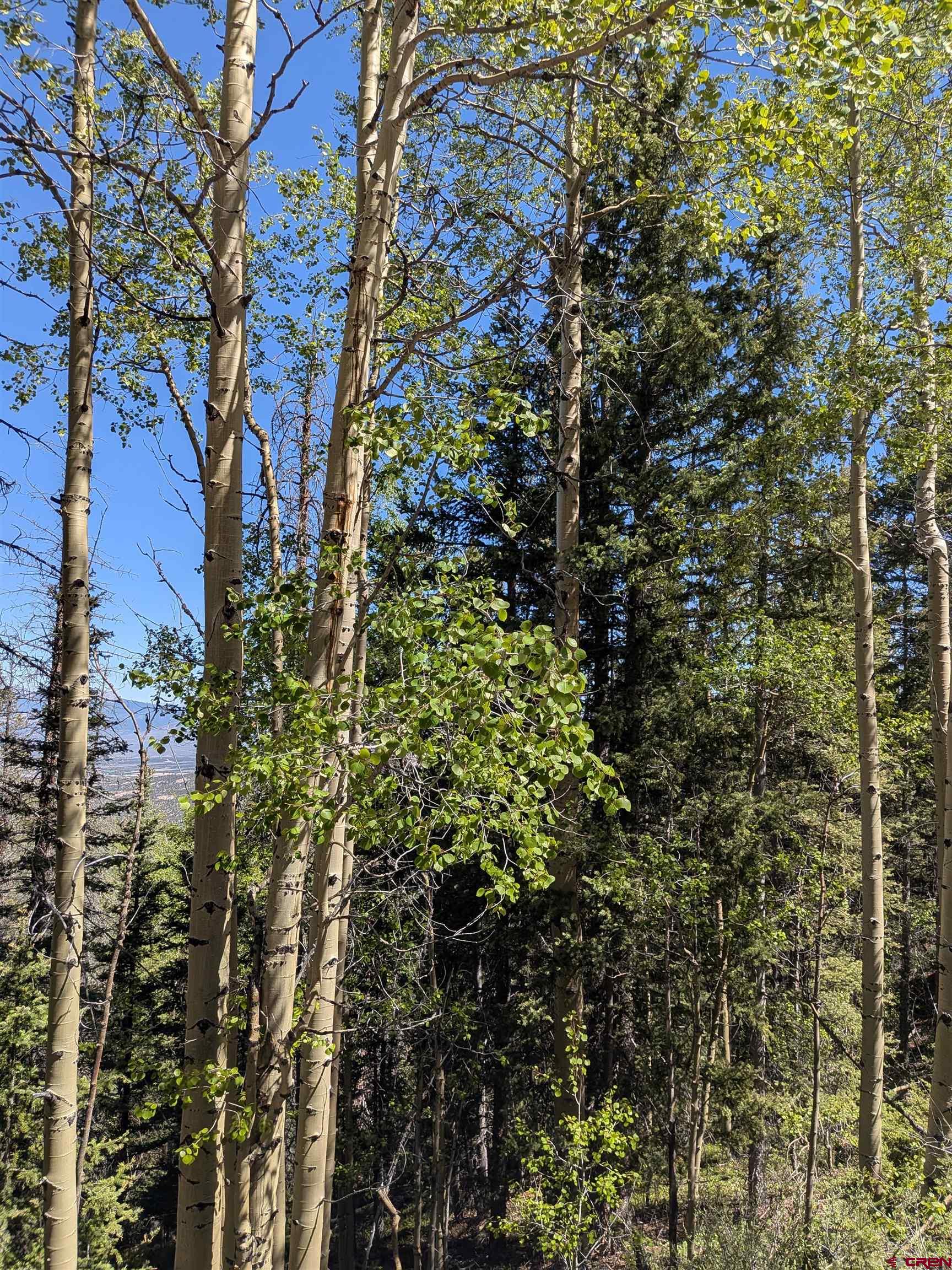 5374 Adams Road Fort Garland, CO 81133 - Photo 2 of 11
