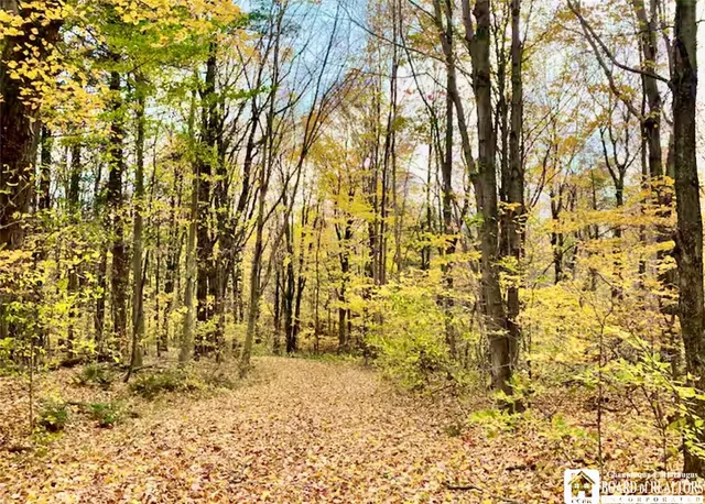 $449,900 | 2996 Bard Road, Arkwright, NY 14718