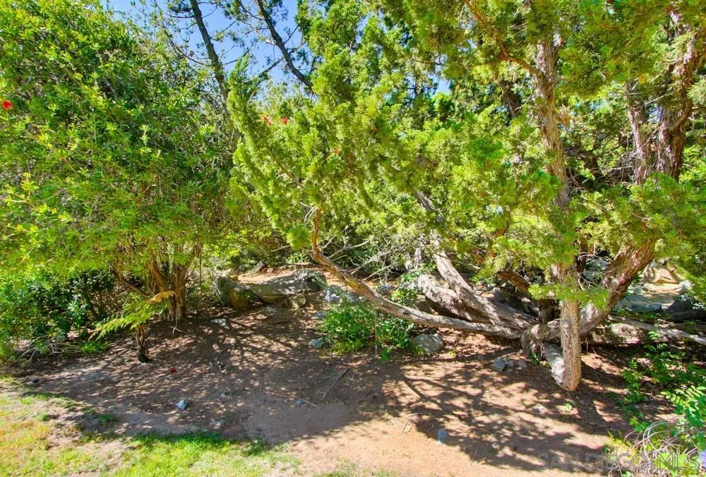 12858 Stone Canyon Road Poway, CA 92064 - Photo 47 of 57 Exterior Back
