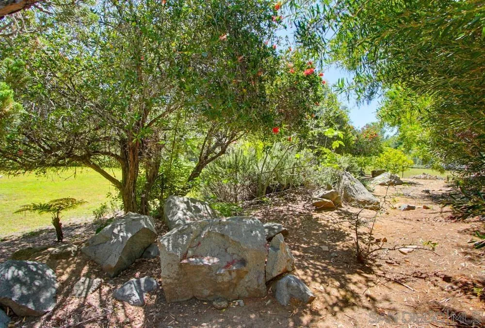 12858 Stone Canyon Road Poway, CA 92064 - Photo 7 of 38 Past grassy yard area is an interesting tree area to explore on your property!