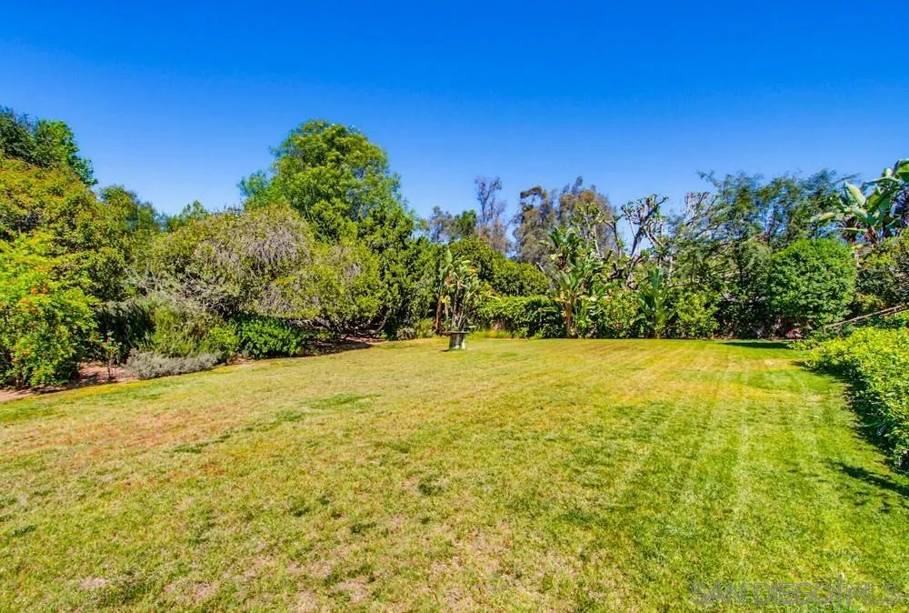 12858 Stone Canyon Road Poway, CA 92064 - Photo 10 of 38 large grassy area for fun or open area between house and back trees