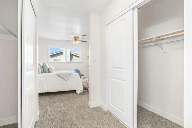 a view of a backyard with large trees and wooden fence