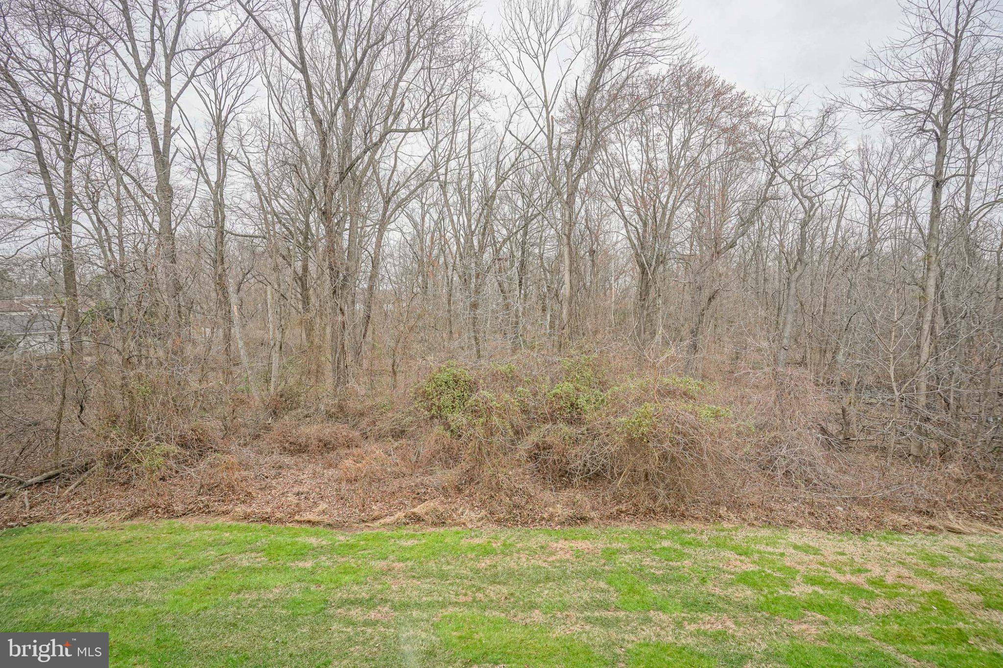 8 Trout Trail Delran, NJ 08075 - Photo 30 of 33 Serene woodland retreat awaits you.