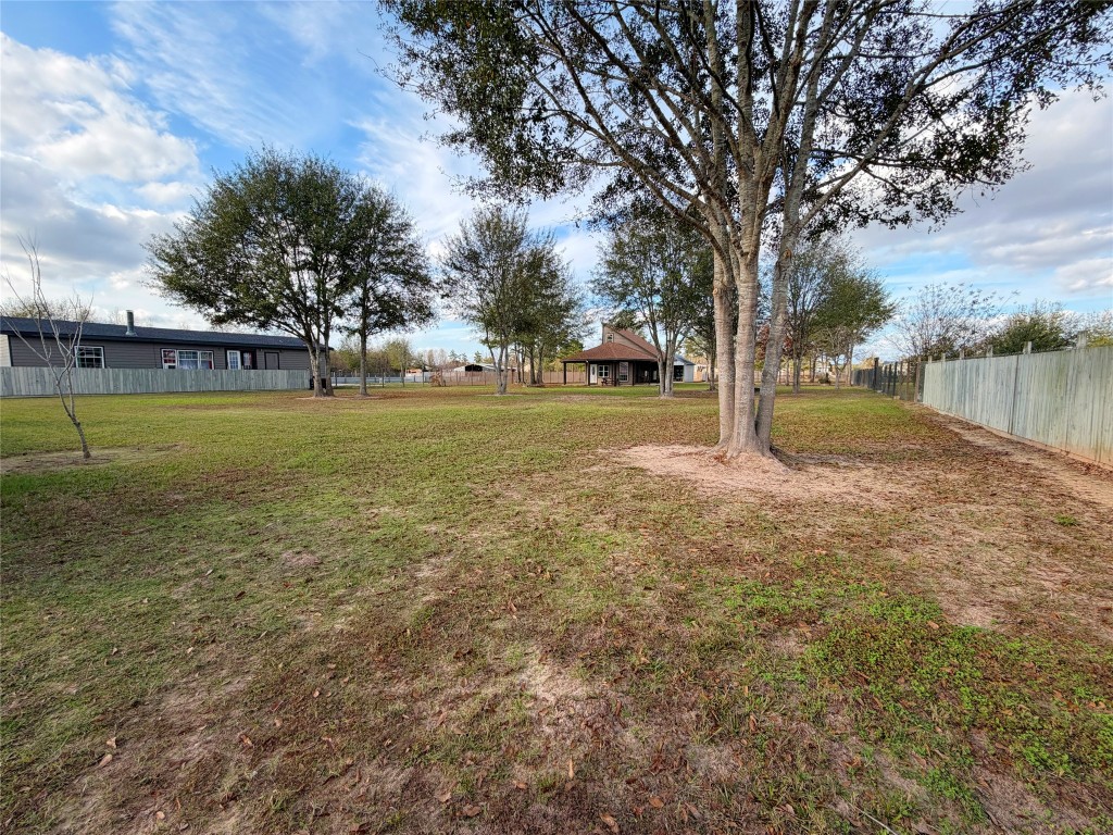 369 Road 3556 Cleveland, TX 77327 - Photo 2 of 16 a view of a field with trees around