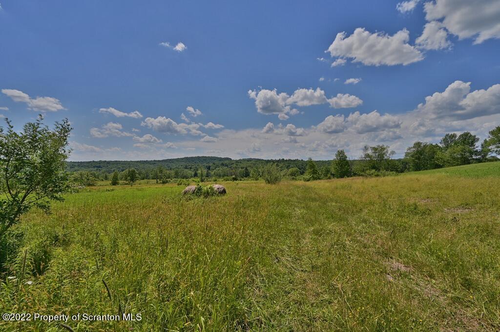 83 Edward Road Beach Lake, PA 18405 - Photo 65 of 75 Gallery Image 65