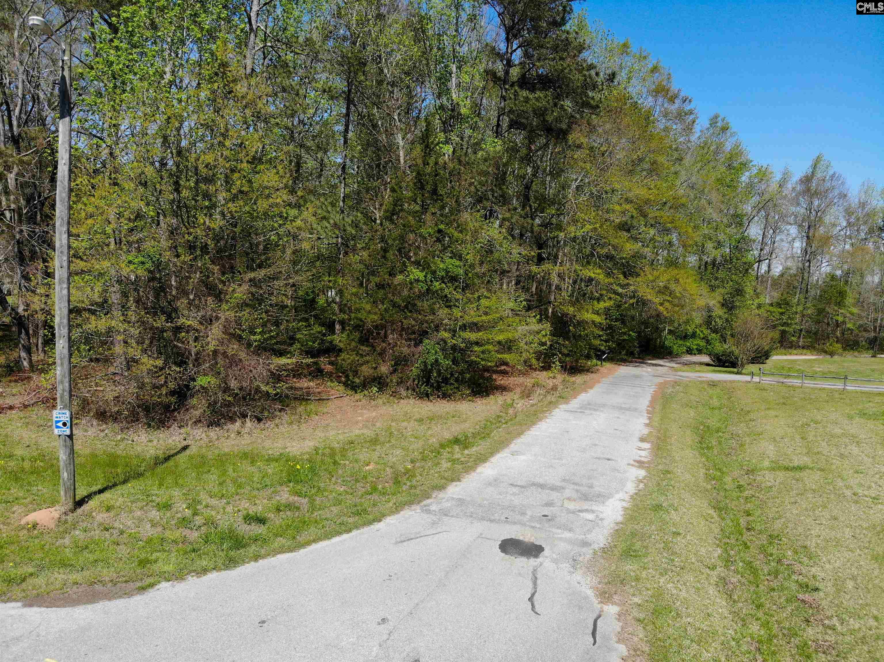 Tbd James Road Joanna, SC 29351 - Photo 35 of 82