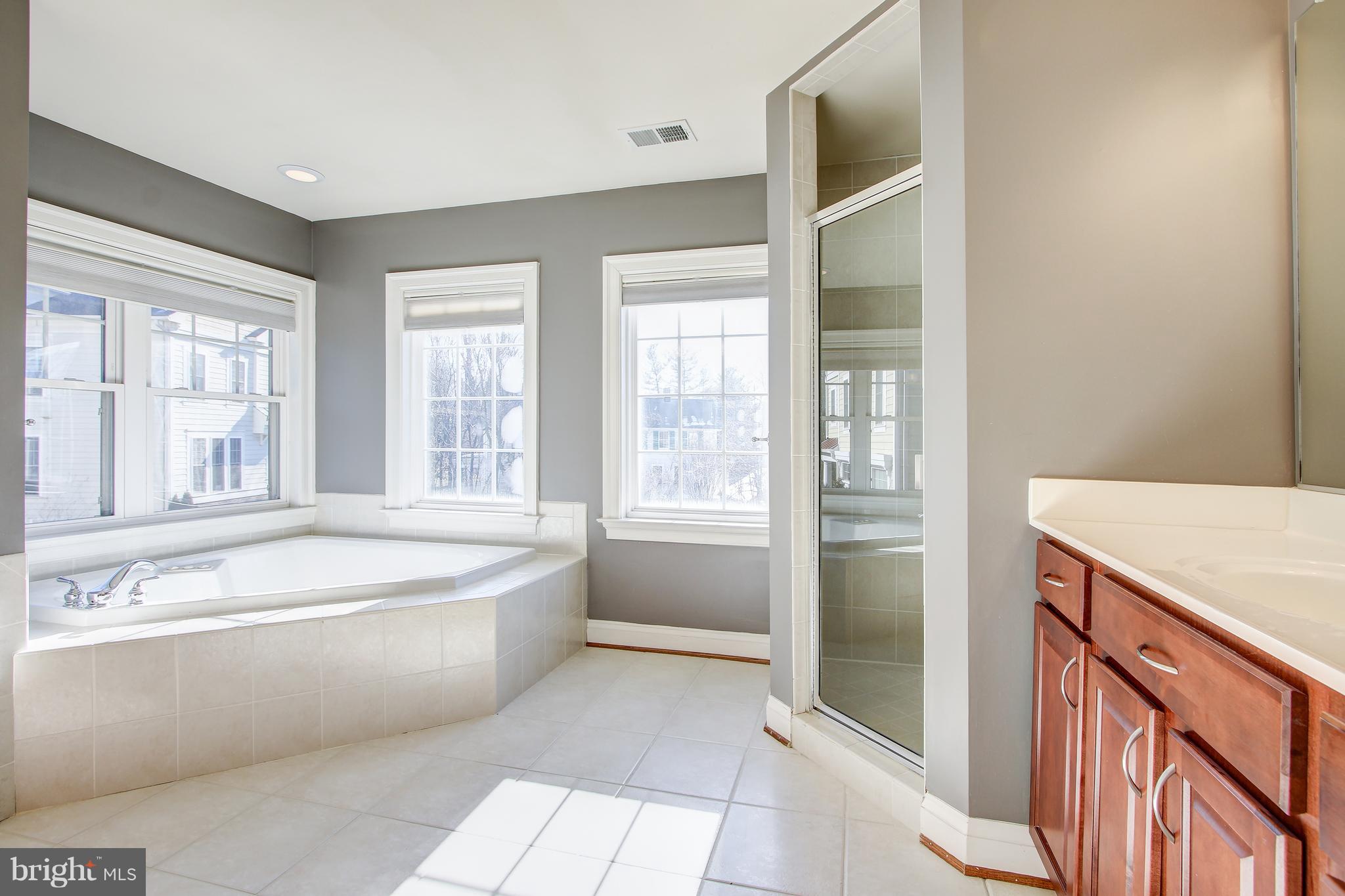 9126 Georgia Avenue Silver Spring, MD 20910 - Photo 21 of 40 Owner's luxury bath- jaccuzzi / sep. shower