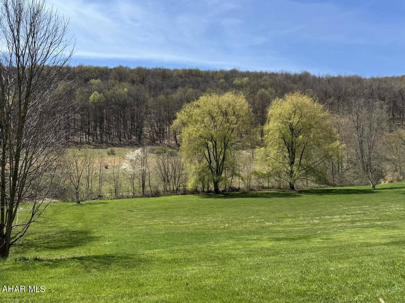 0 Spruce Hollow Road Alum Bank, PA 15521 - Photo 1 of 11 Gallery Image 1