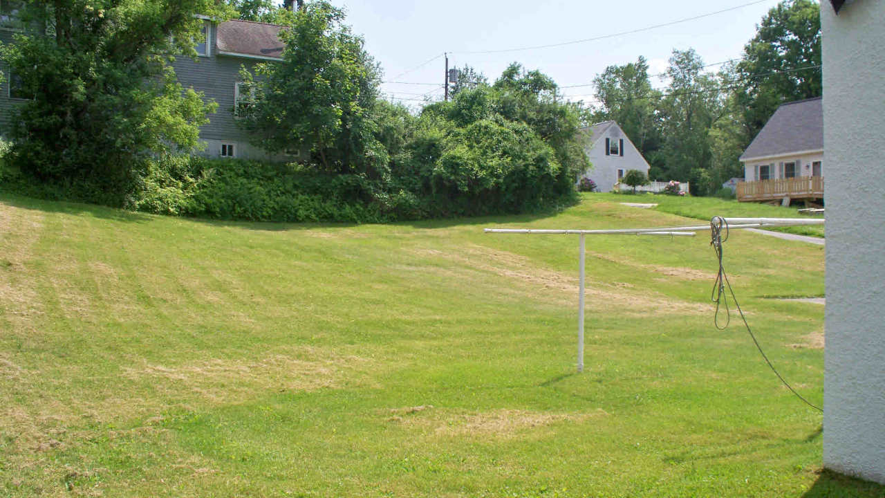 131 Cadwell Road Pittsfield, MA 01201 - Photo 2 of 7 Back yard