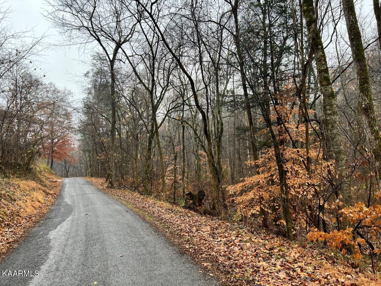 Lot 3 Butler Road Decatur, TN 37322 - Photo 1 of 10 BR2