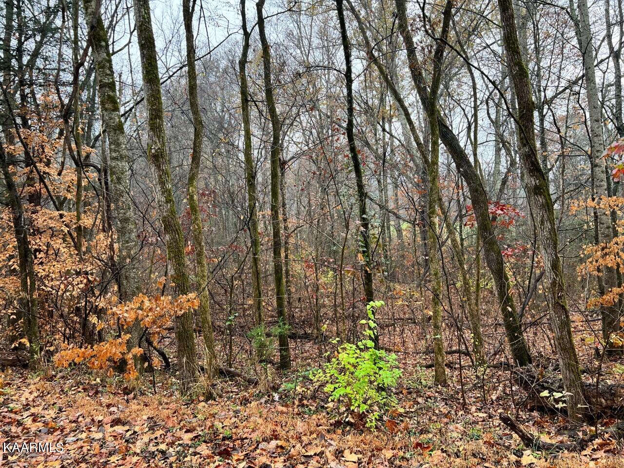 Lot 3 Butler Road Decatur, TN 37322 - Photo 2 of 10 BR