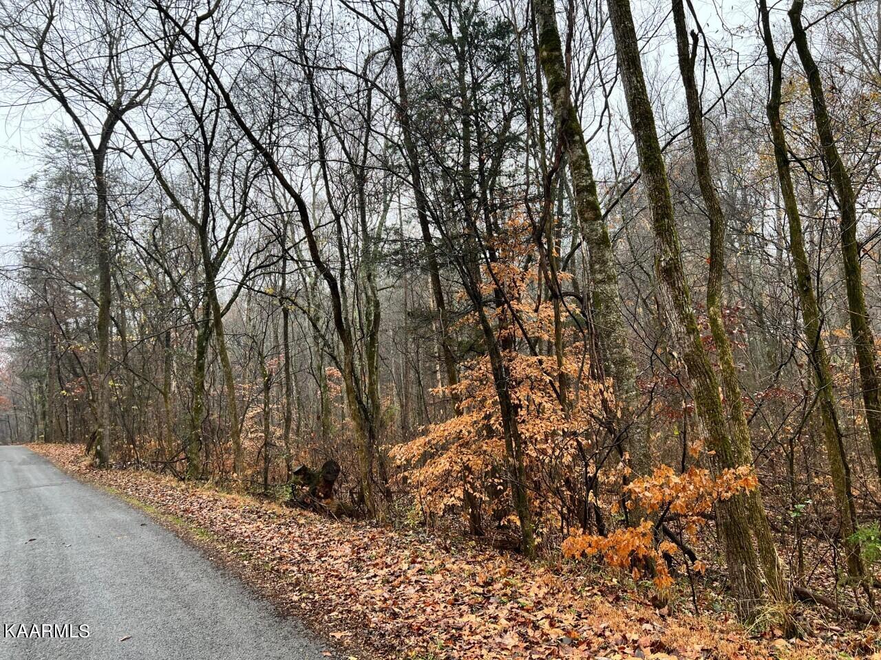 Lot 3 Butler Road Decatur, TN 37322 - Photo 3 of 10 BR1
