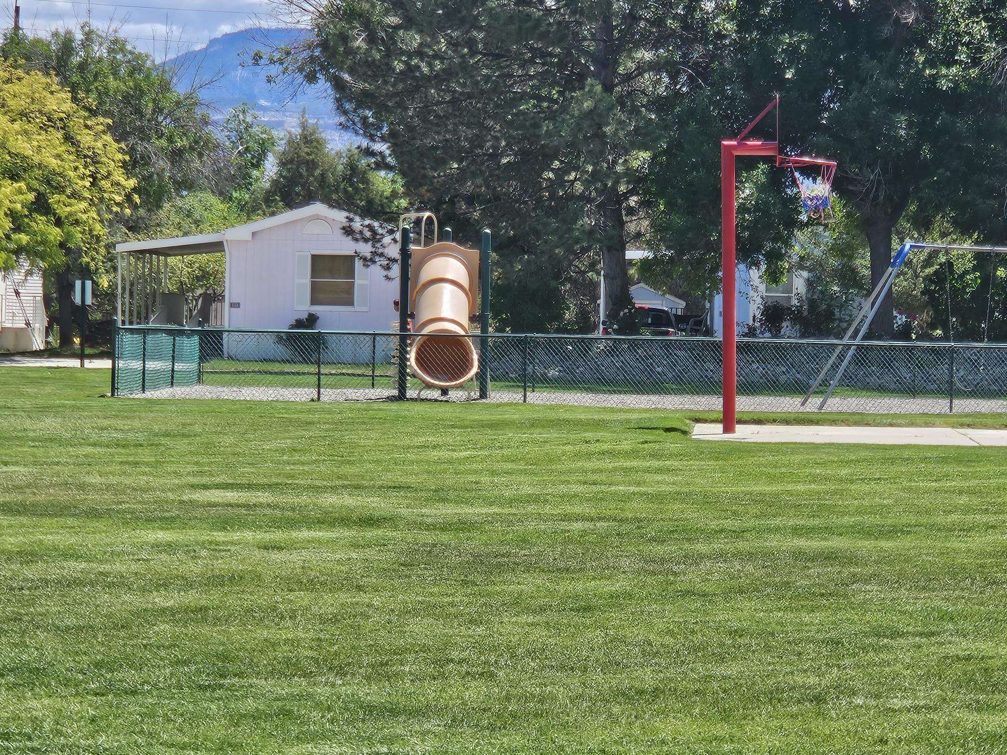 435 32 Road, Unit 424 Clifton, CO 81520 - Photo 21 of 21 a view of a house with backyard and tree