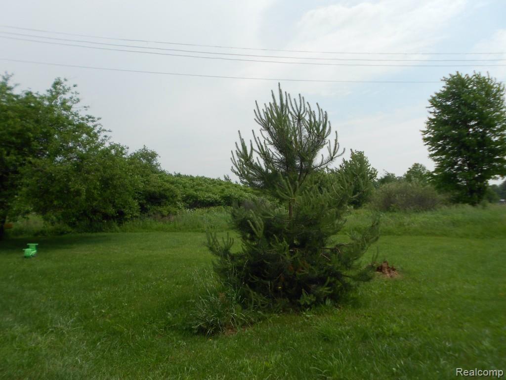 7364 Metcalf Road Jeddo, MI 48032 - Photo 2 of 7 2014-06-16 18.25