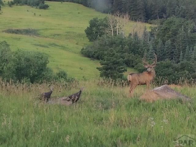 8755 Deiffendeffer Rye, CO 81069 - Photo 22 of 35