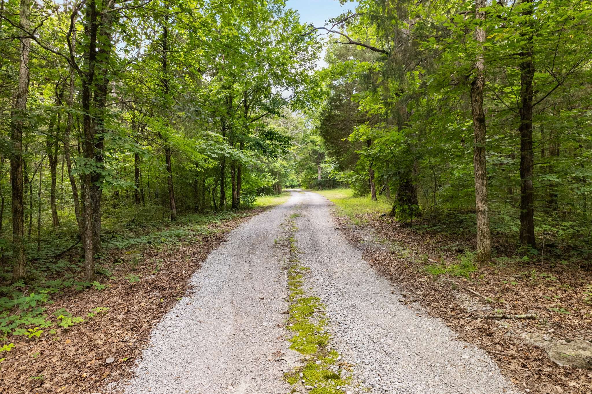12200 Franklin Road College Grove, TN 37046 - Photo 61 of 72