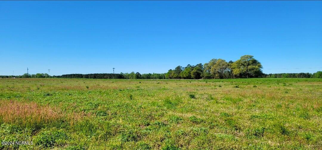 1 Pope Farm Road Stantonsburg, NC 27883 - Photo 5 of 5 Gallery Image 5