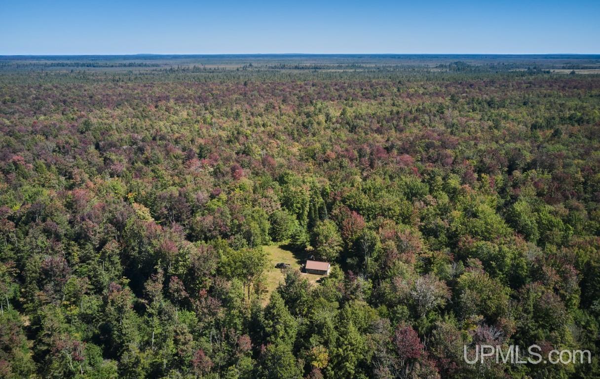 454 Creighton Trail Road Shingleton, MI 49884 - Photo 1 of 26