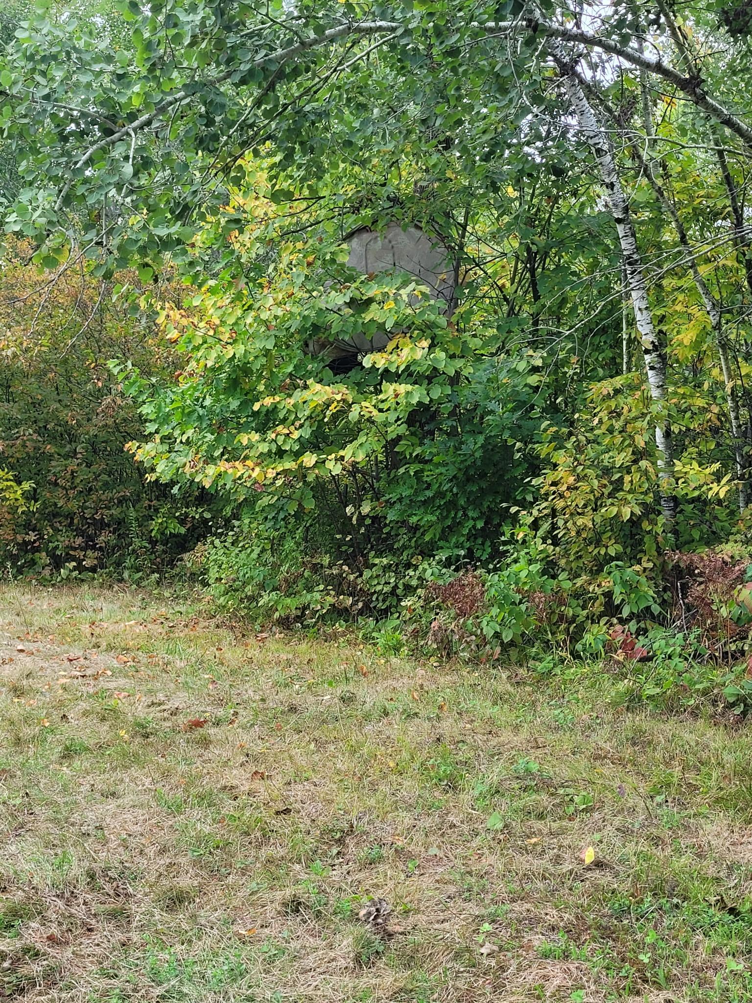 57391 Duncan Road Sandstone, MN 55072 - Photo 25 of 48 Gallery Image 25