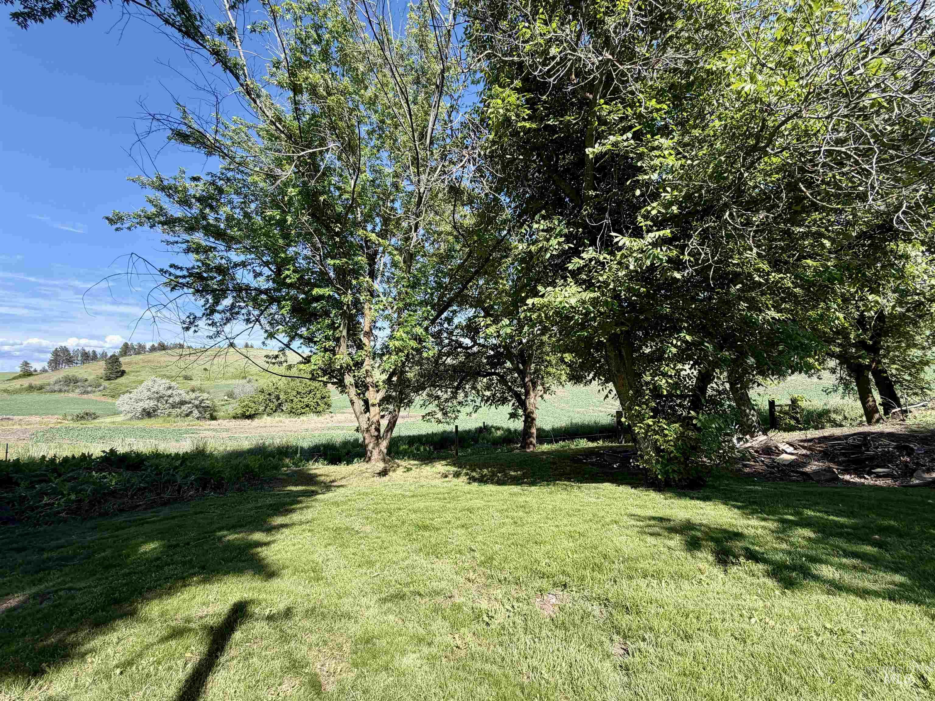 30154 Cut Off Road Culdesac, ID 83524 - Photo 34 of 50