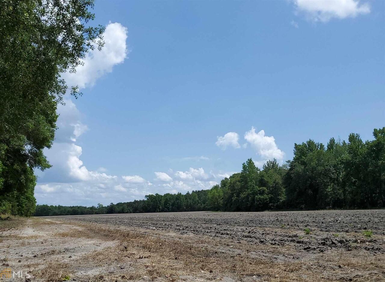 0 Runs Branch Road Newington, GA 30446 - Photo 1 of 1 a view of a lake