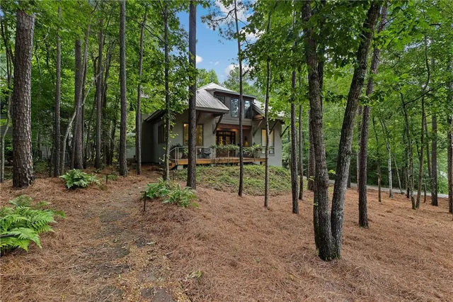 a view of a park with plants and trees