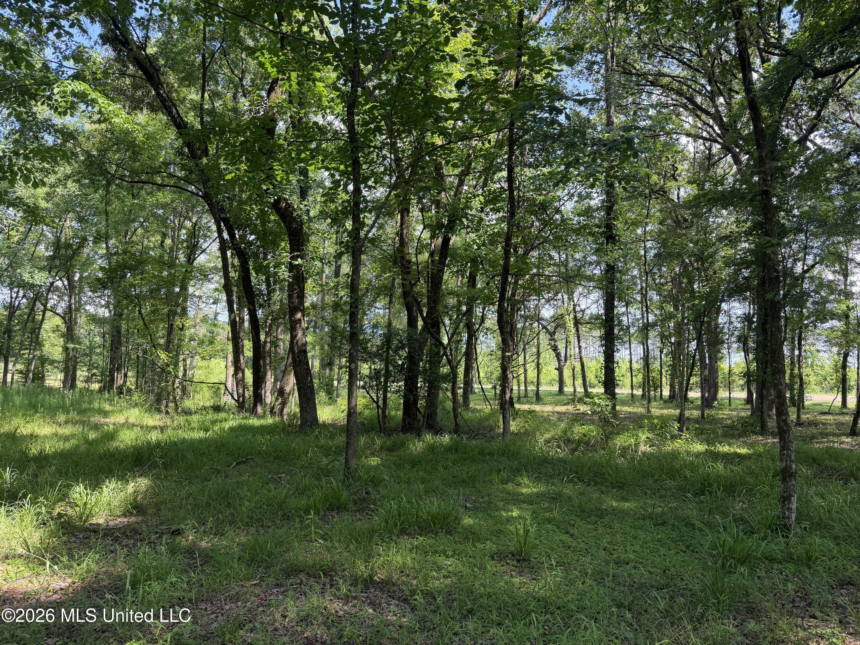 512 Ratliff Ferry Road Canton, MS 39046 - Photo 11 of 42 Photo Jun 02 2026, 3 50 39 PM