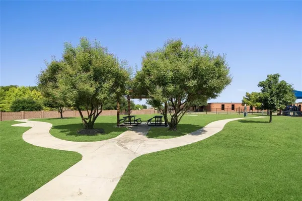 a garden with trees and plants