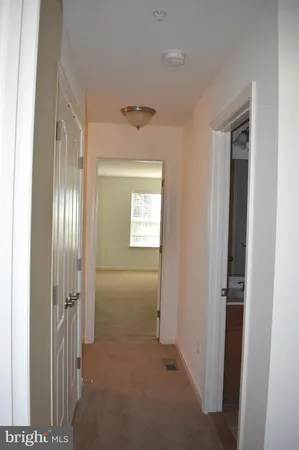 a view of a small yard from a window