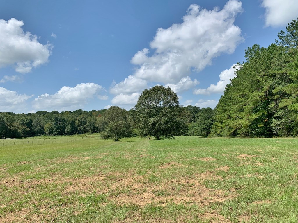 2735 Smylie Road Gloster, MS 39638 - Photo 58 of 70 Photo 58