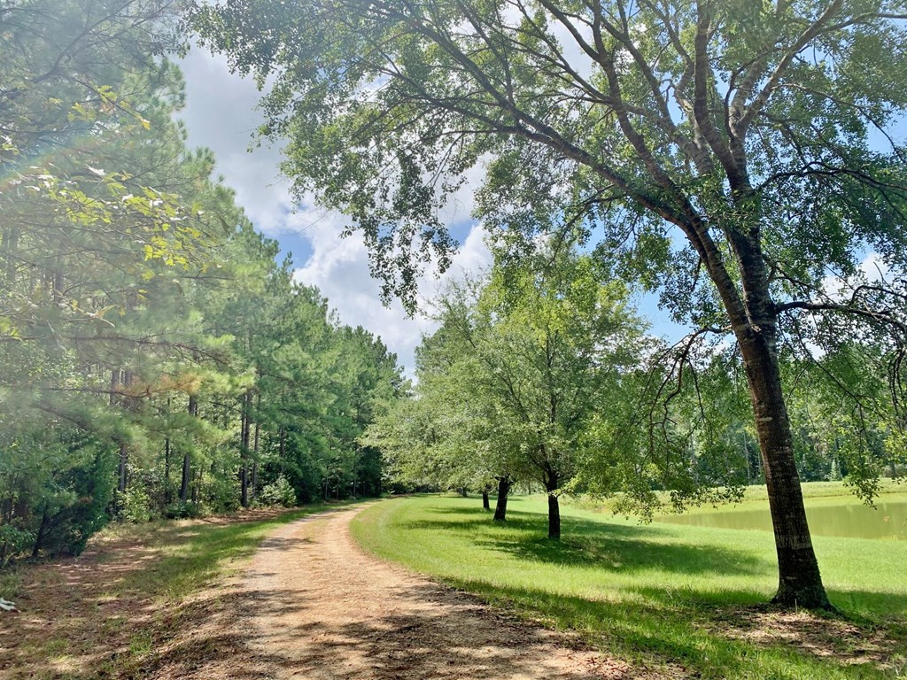 2735 Smylie Road Gloster, MS 39638 - Photo 59 of 70 Photo 59