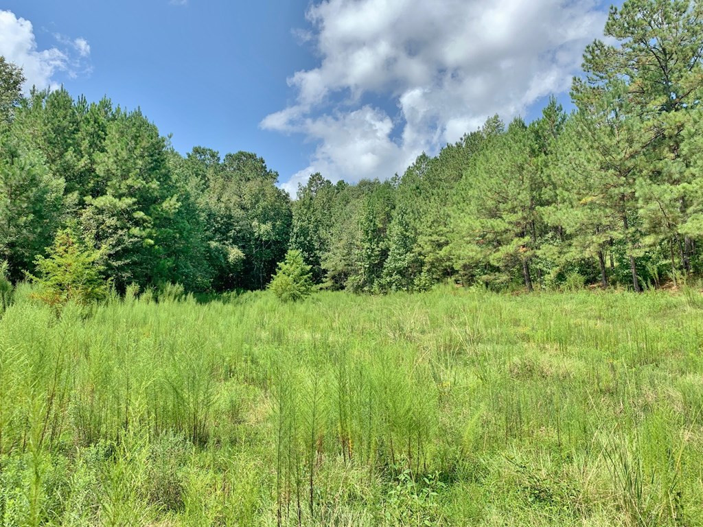 2735 Smylie Road Gloster, MS 39638 - Photo 61 of 70 Photo 61