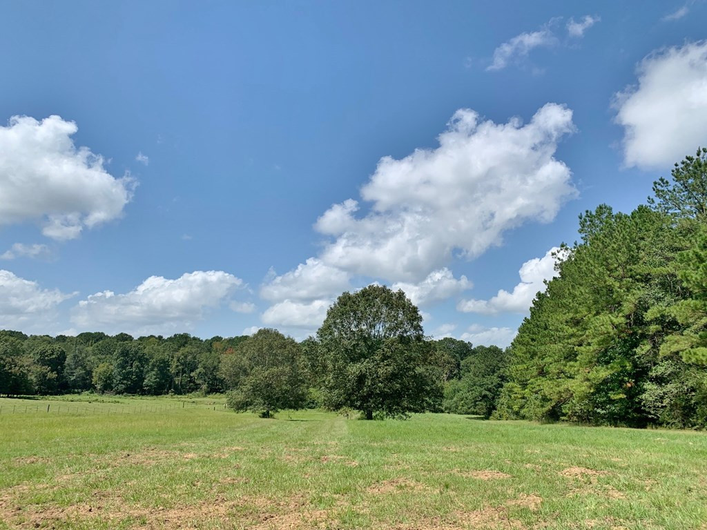 2735 Smylie Road Gloster, MS 39638 - Photo 64 of 70 Photo 64