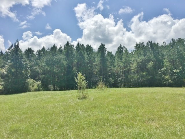 2735 Smylie Road Gloster, MS 39638 - Photo 65 of 70 Photo 65