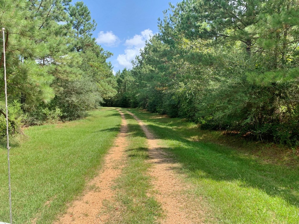 2735 Smylie Road Gloster, MS 39638 - Photo 66 of 70 Photo 66